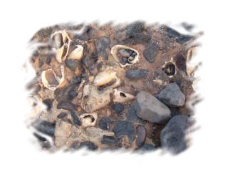 Depositos de playa pertenecientes al último periodo interglacial