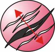 EEE Empirical Relationships