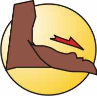 On-Fault paleoearthquake records